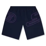 Supreme Big Logo Nylon Navy Shorts